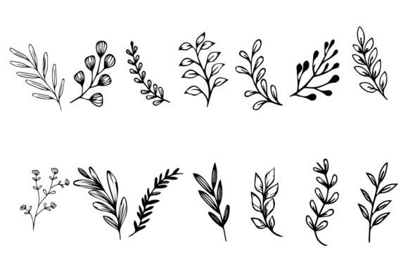 Download Botanical Leaf Wildflower Line Art - Botanic Collection