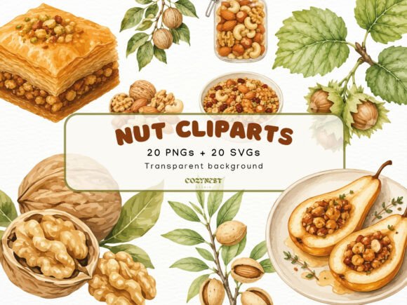 Download Nut Watercolor Cliparts, Botanical PNG - Botanic Collection