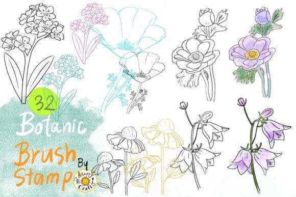 Download Botanic Flowers Drawing Brush Stamp - Botanic Collection