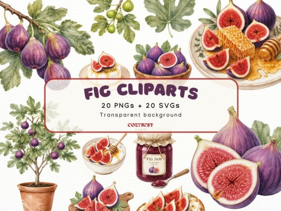 Download Fig Watercolor Cliparts, Botanical PNG - Botanic Collection